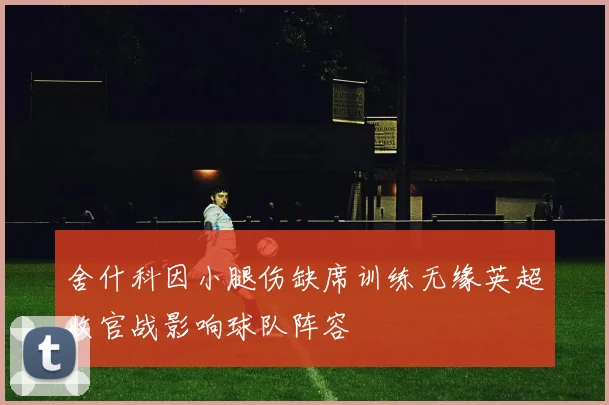 舍什科因小腿伤缺席训练无缘英超收官战影响球队阵容